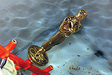 an oscar in a pool of water